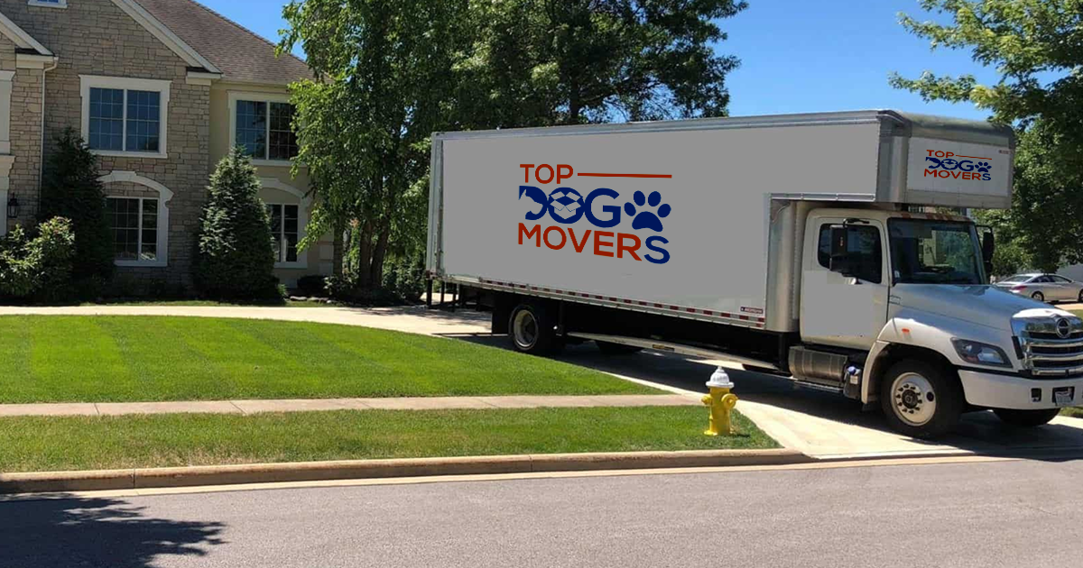 TopDogMovers_1