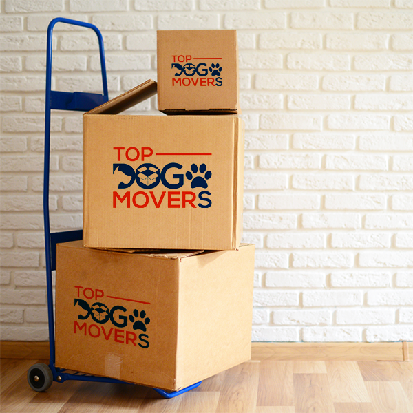 best movers in columbus ohio